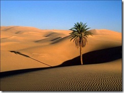 desert d'egipte