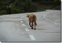 Imagen2
