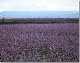 DSCF0368