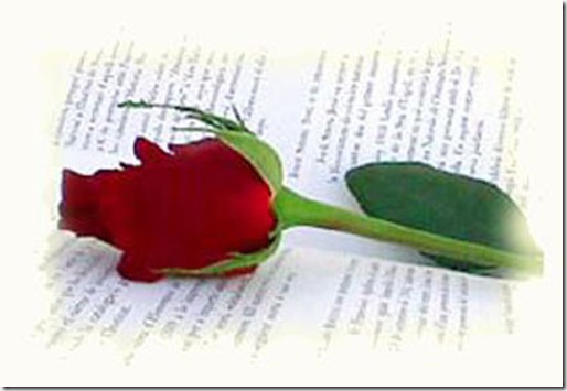 rosa[1]